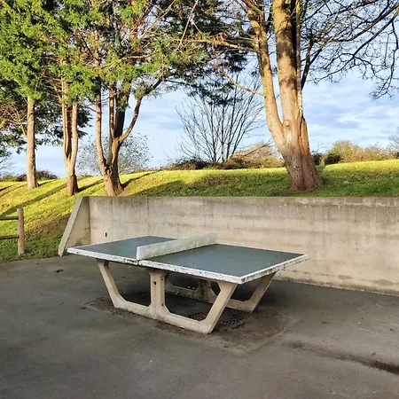 Maison Calme Et Lumineuse De Plain-pied, Jardin Et Piscine Chalet Cabourg