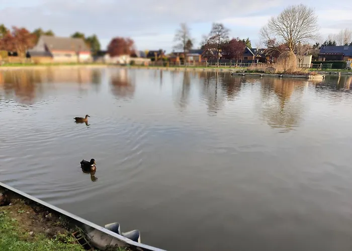 Chalet Maison Calme Et Lumineuse De Plain-pied Cabourg